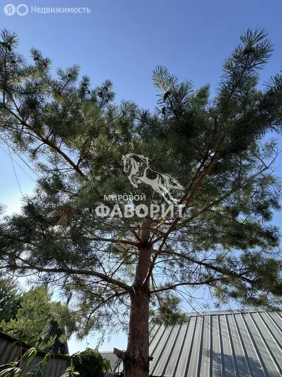 Дом в Оренбург, СНТ Садовод, Сливовая улица (95 м) - Фото 1