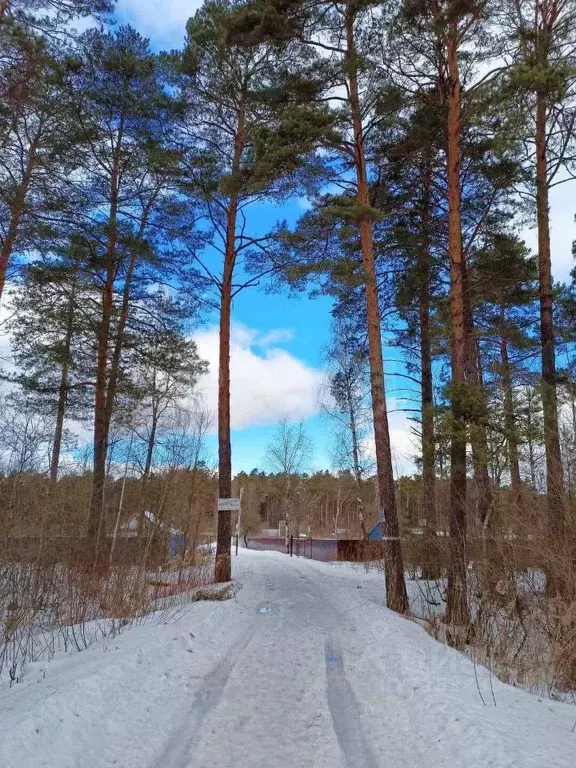 Участок в Брянская область, Сельцо  (5.0 сот.) - Фото 0