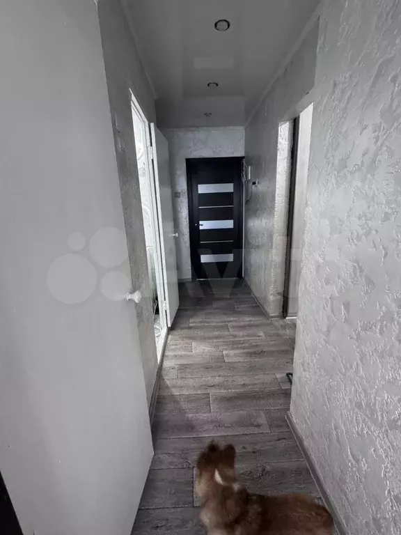 3-к. квартира, 70 м, 9/9 эт. - Фото 1