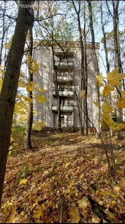 1-комнатная квартира: Казань, улица Родины, 31 (28.5 м) - Фото 1