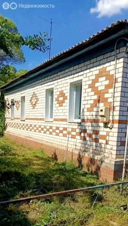 Дом в Грибановский район, село Верхний Карачан (77 м) - Фото 1