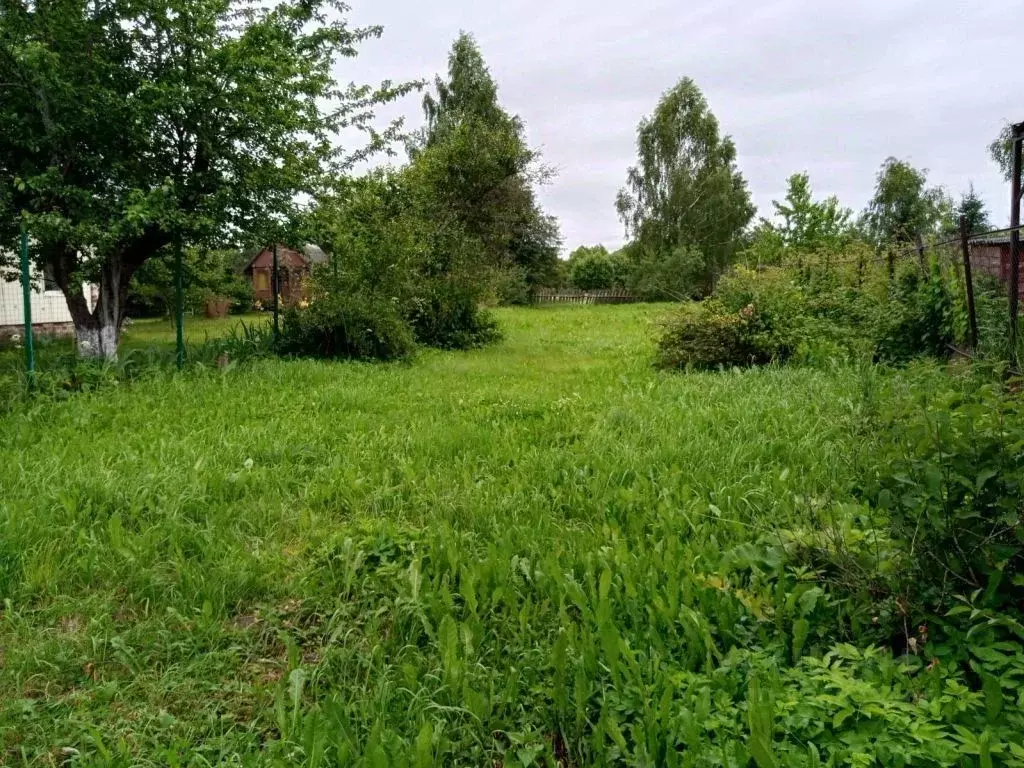 Участок в Костромская область, Костромской район, Апраксинское с/пос, ... - Фото 2