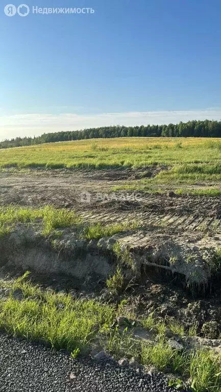 Участок в Лесколовское сельское поселение, деревня Нижние Осельки, ... - Фото 2