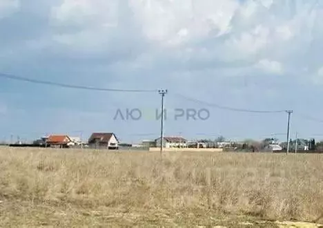 Участок в Крым, Черноморский район, с. Окуневка ул. Крупской (6.0 ... - Фото 2