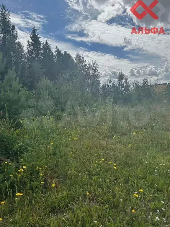 Участок 16,9 сот. (ИЖС) - Фото 1