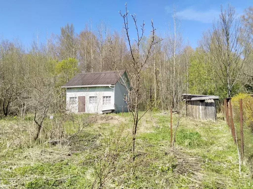 Дом 40 м на участке 6 сот. - Фото 1