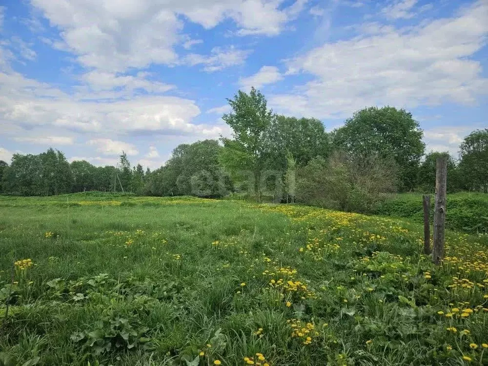Участок в Тверская область, Калининский муниципальный округ, с. ... - Фото 1