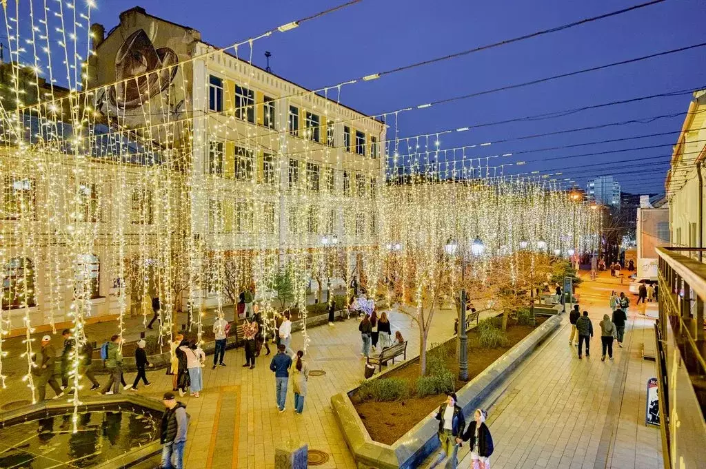 Комната Приморский край, Владивосток ул. Адмирала Фокина, 10 - Фото 2