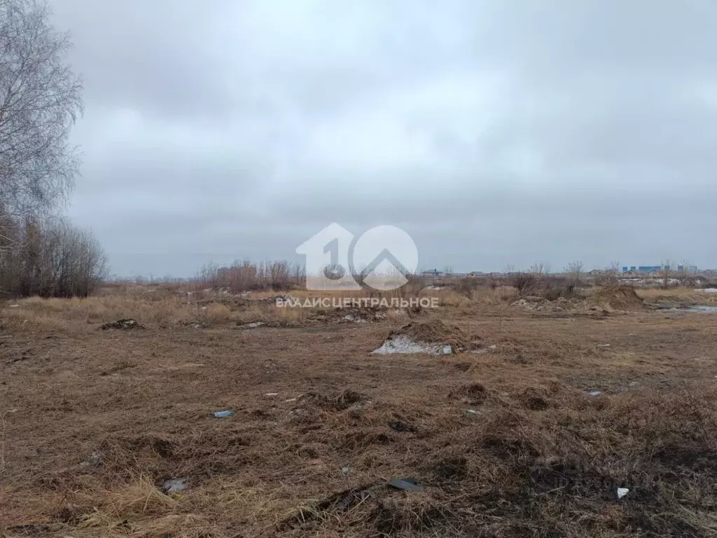 Участок в Новосибирская область, Новосибирский район, Мичуринский ... - Фото 1