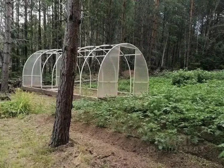 Участок в Иркутская область, Иркутский муниципальный округ, Минерал ... - Фото 2