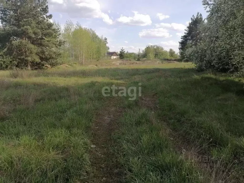 Участок в Воронежская область, Хохольский район, с. Гремячье Советская ... - Фото 0