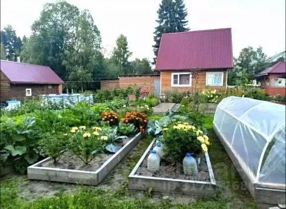 Дом в Вологодская область, Великоустюгский муниципальный округ, ... - Фото 0
