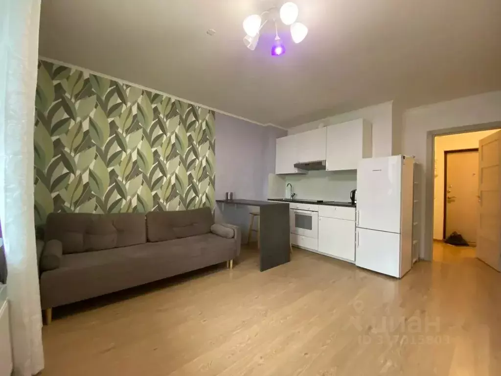 Студия Санкт-Петербург просп. Энергетиков, 11к2 (25.0 м) - Фото 0