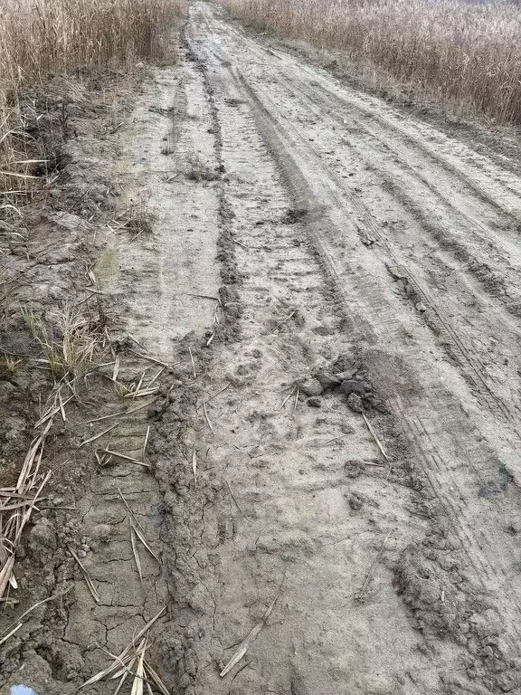 Участок в Тюменская область, Тобольский муниципальный округ, ... - Фото 2