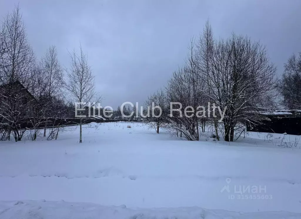Участок в Санкт-Петербург, Санкт-Петербург, Зеленогорск Решетниково ... - Фото 2