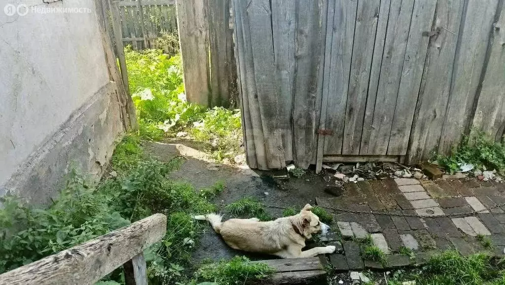 Дом в Аша, Загородная улица (30.1 м) - Фото 2
