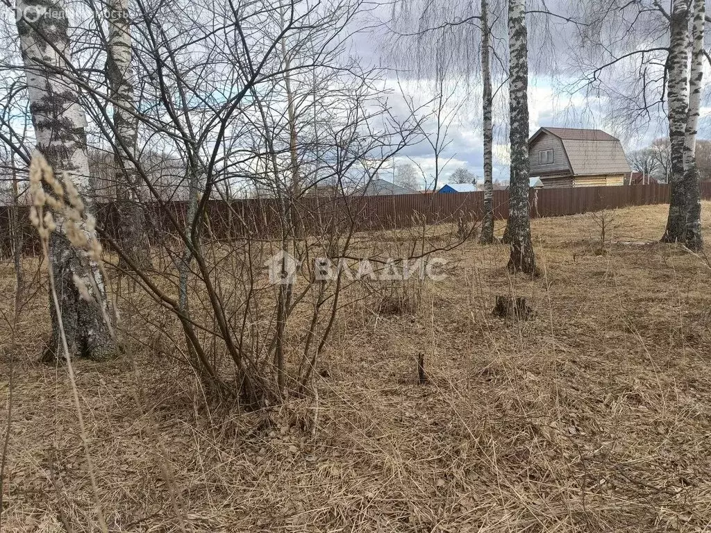 Участок в Ковровский район, муниципальное образование Малыгинское, ... - Фото 0