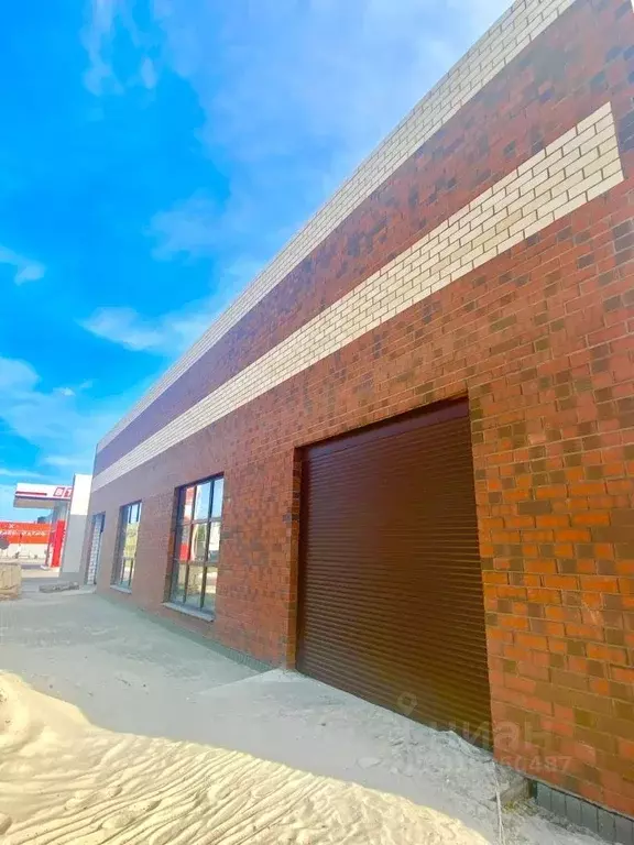 Помещение свободного назначения в Воронежская область, Воронеж ул. ... - Фото 1