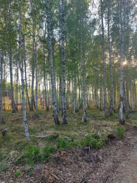 Участок в Иркутская область, Иркутский муниципальный округ, пос. Новая ... - Фото 1