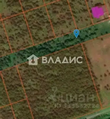 Участок в Нижегородская область, Богородский муниципальный округ, с. ... - Фото 2