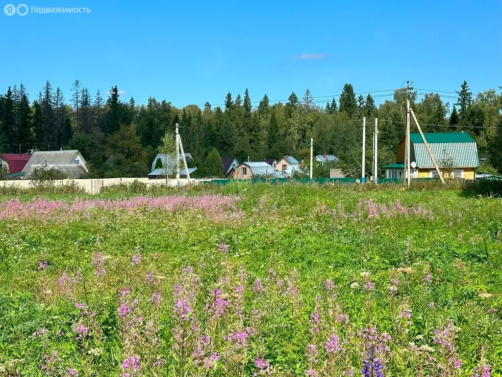 Участок в Московская область, городской округ Клин, деревня Тиликтино ... - Фото 1