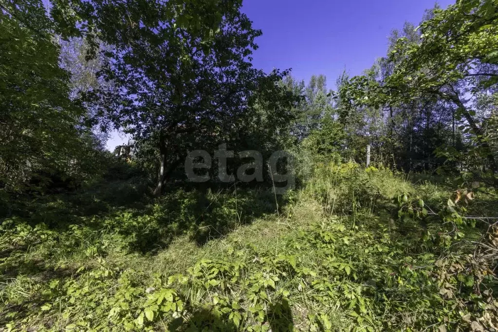 Участок в Ленинградская область, Кировский район, Синявинское ... - Фото 1