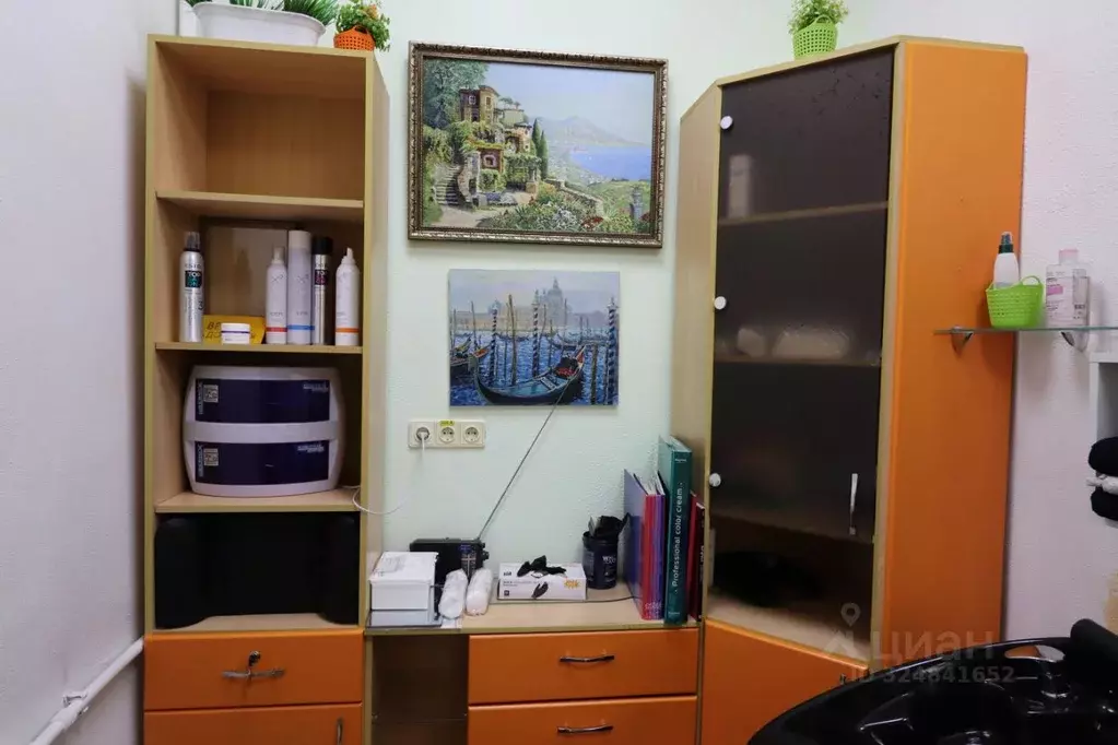 Помещение свободного назначения в Алтайский край, Барнаул ул. Георгия ... - Фото 2