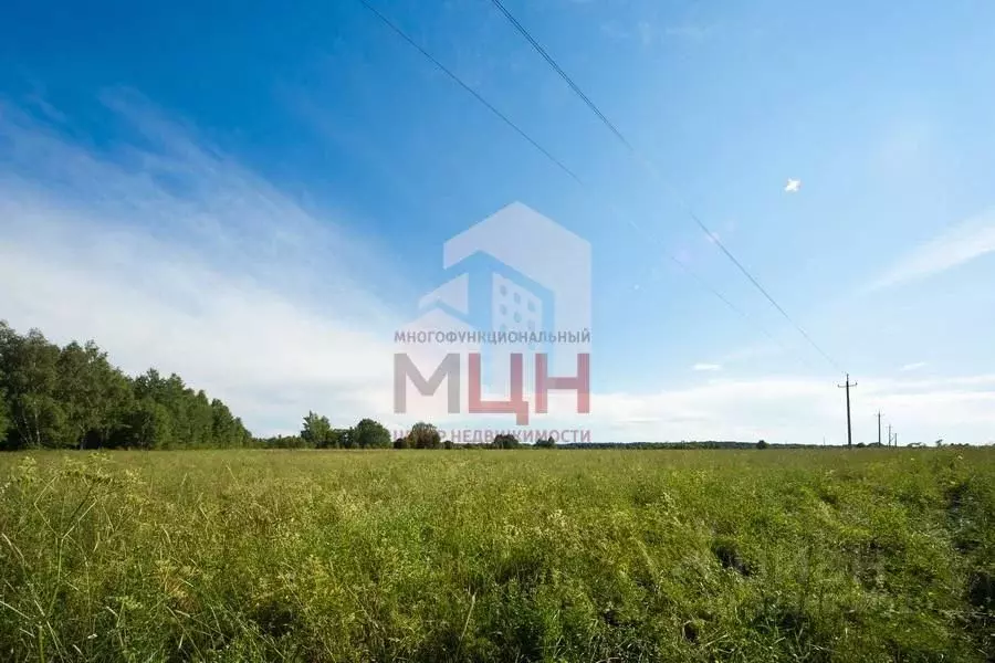 Участок в Тверская область, Калининский муниципальный округ, с. ... - Фото 2