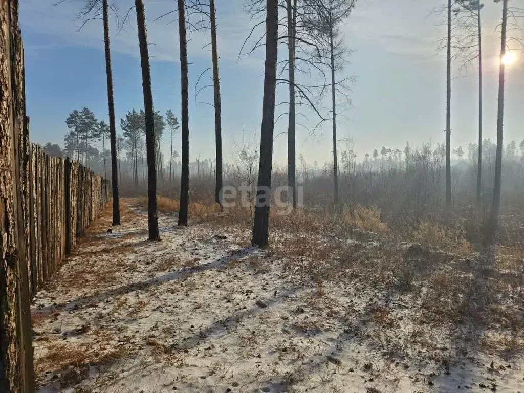 Участок в Забайкальский край, Читинский район, с. Смоленка  (7.6 сот.) - Фото 1