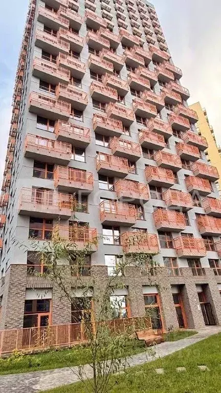 Студия Алтайский край, Барнаул городской округ, Южный рп тракт Южный, ... - Фото 1