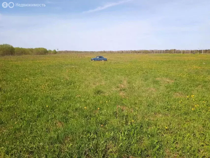 Участок в Волосовский район, Бегуницкое сельское поселение, деревня ... - Фото 2