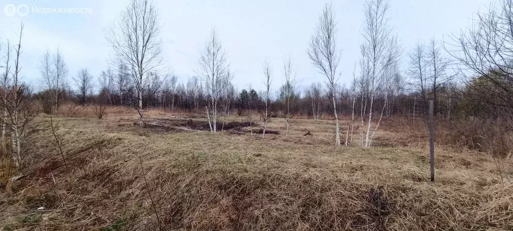 Участок в Приморский край, Арсеньев (721 м) - Фото 1