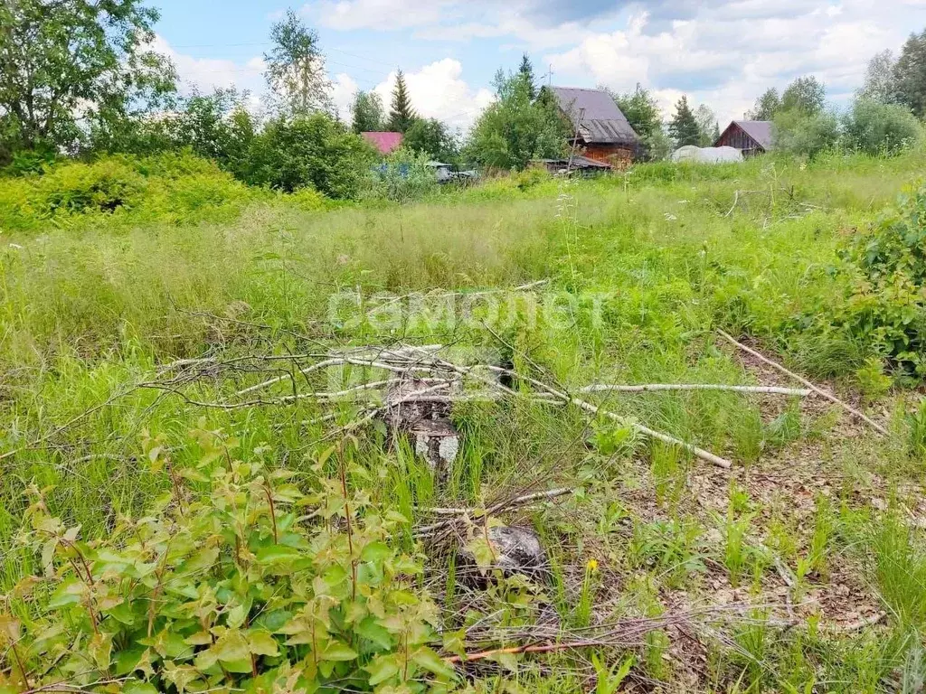 Участок в Тюменская область, Нижнетавдинский район, Виктория ТСН ул. ... - Фото 1