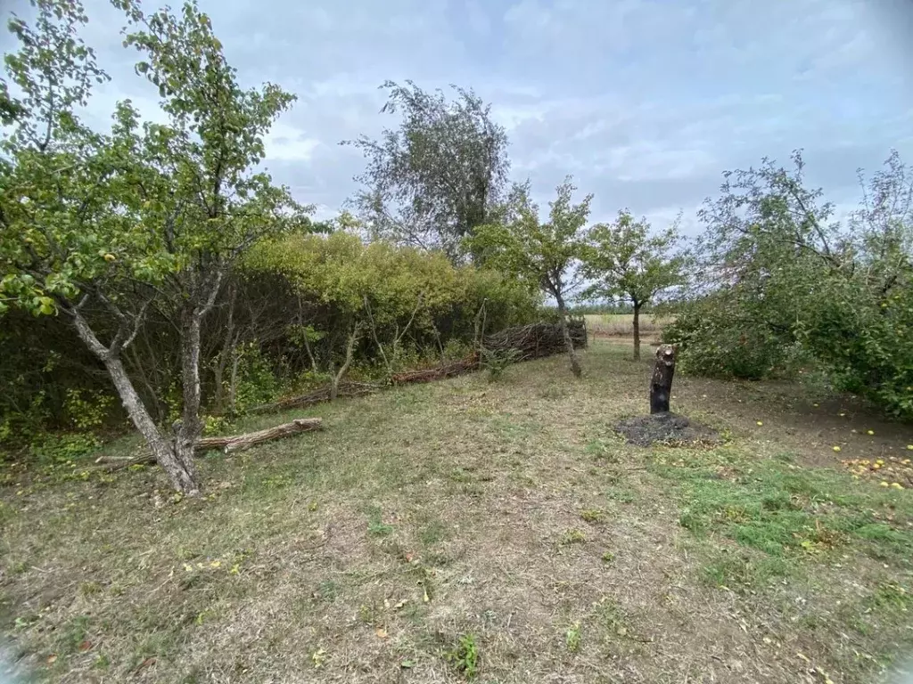 Участок в Ростовская область, Родионово-Несветайский район, ... - Фото 1