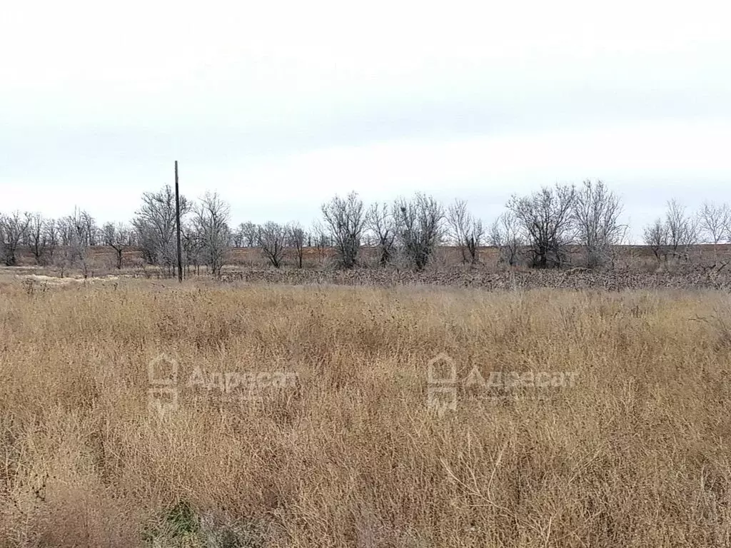 Дом в Волгоградская область, рабочий посёлок Городище, Центральная ... - Фото 0