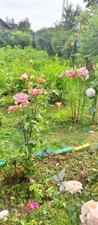 Участок в Московская область, Подольск Березка-4 СНТ, ул. 4-я (9.0 ... - Фото 2