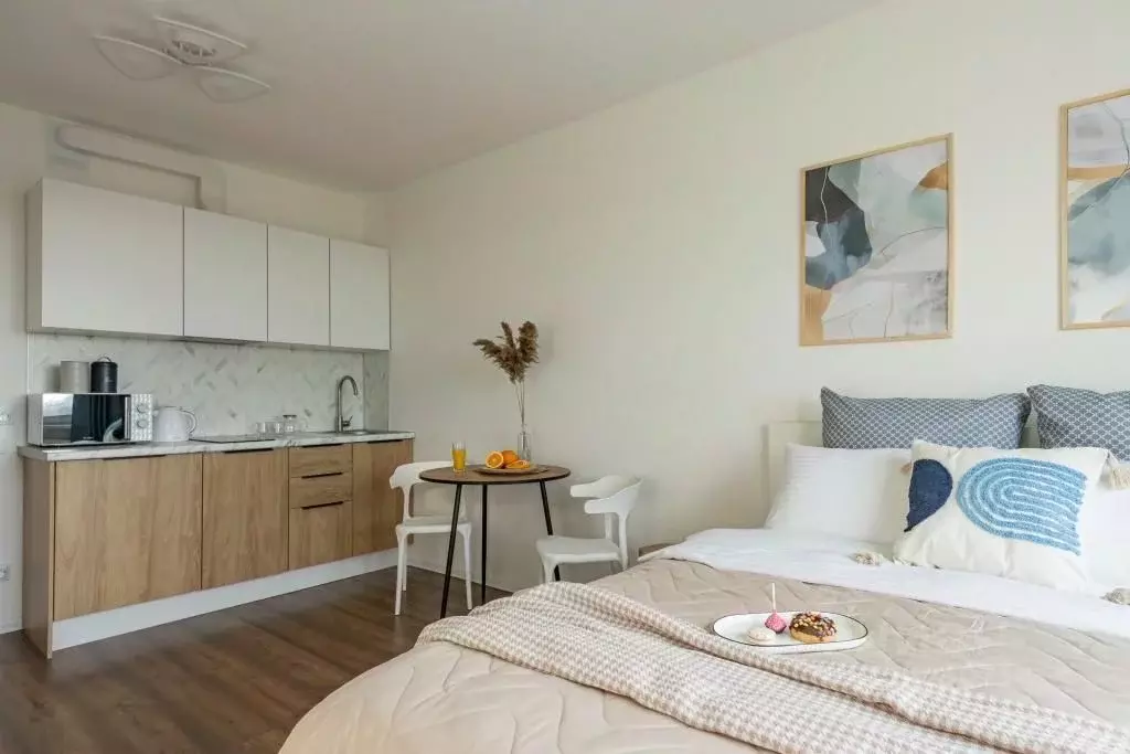 1-к кв. Санкт-Петербург ул. Пейзажная, 30 (24.0 м) - Фото 0