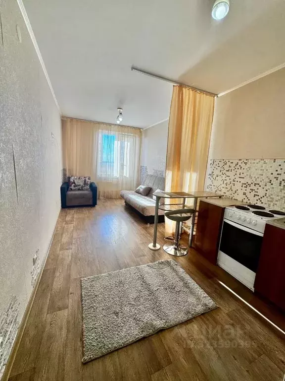 Студия Пермский край, Пермь ул. Вильямса, 51А (21.7 м) - Фото 2