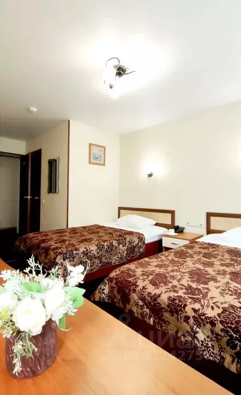 Комната Приморский край, Владивосток Посьетская ул., 38 - Фото 1