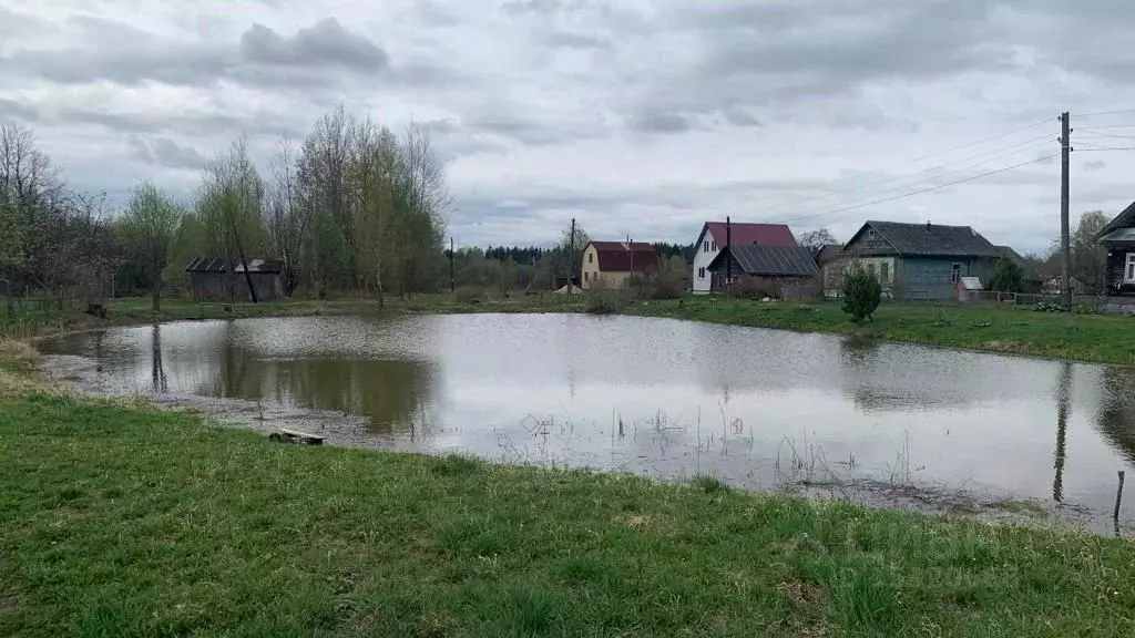 Участок в Тверская область, Калининский район, Бурашевское с/пос, д. ... - Фото 0