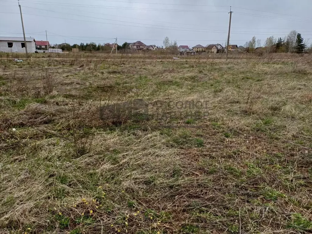 Участок в Новгородская область, Новгородский район, Ермолинское с/пос, ... - Фото 1
