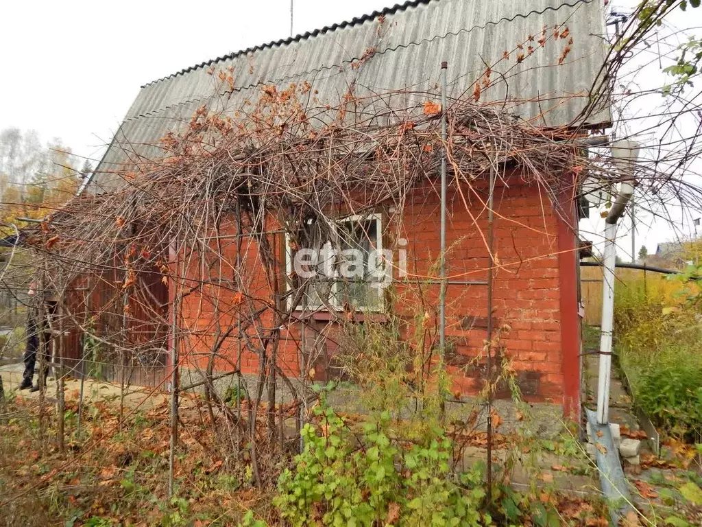 Дом в Владимирская область, Петушинское муниципальное образование, ... - Фото 1