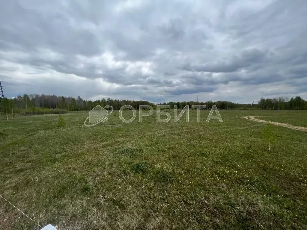 Участок в Тюменская область, Тюмень Липовый Остров СНТ,  (8.0 сот.) - Фото 1