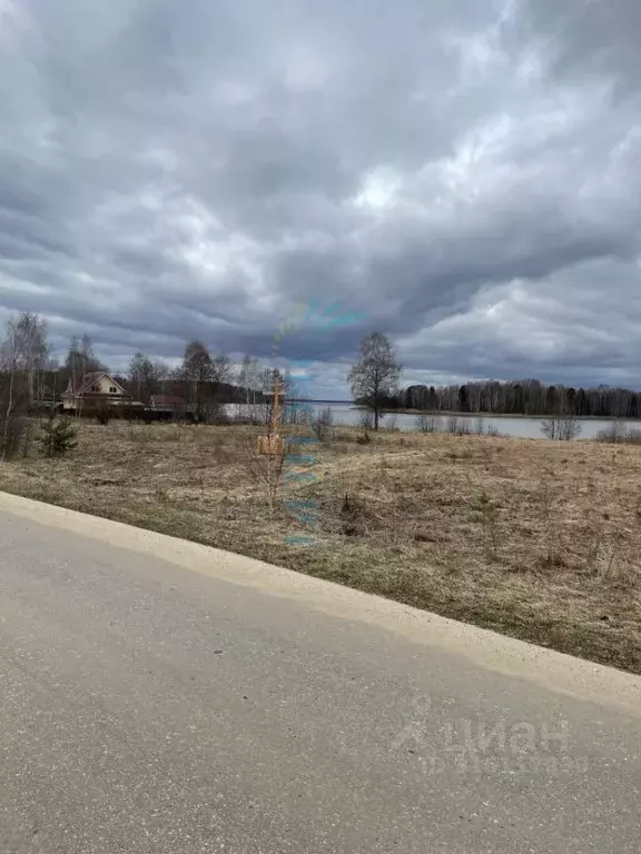 Участок в Нижегородская область, Сокольский городской округ, д. ... - Фото 1
