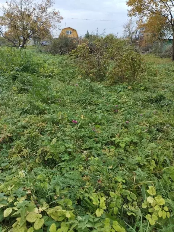 Участок в Ярославская область, Рыбинский муниципальный округ, д. ... - Фото 1