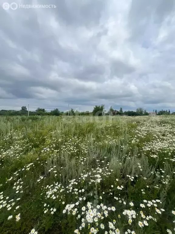 Участок в Ишимбай, СТ Вышка-Бабушка (10 м) - Фото 1