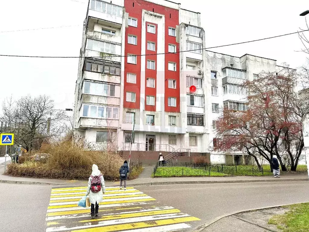 Сдам помещение свободного назначения, 101.6 м - Фото 1