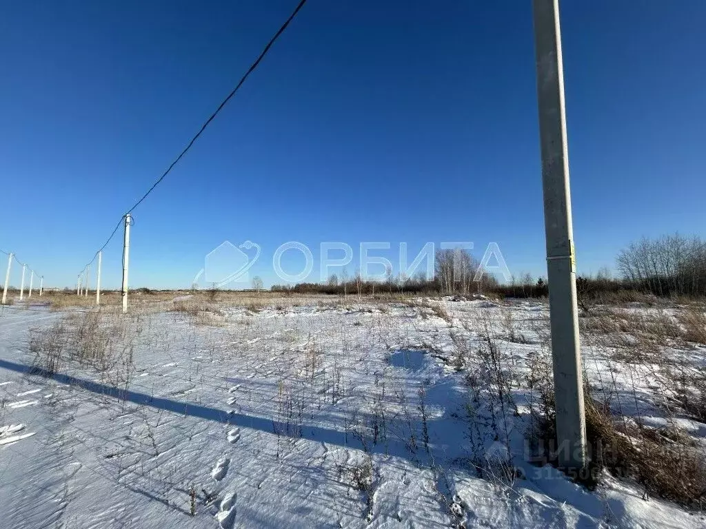Участок в Тюменская область, Тюмень Дубок садовое товарищество,  (8.6 ... - Фото 2