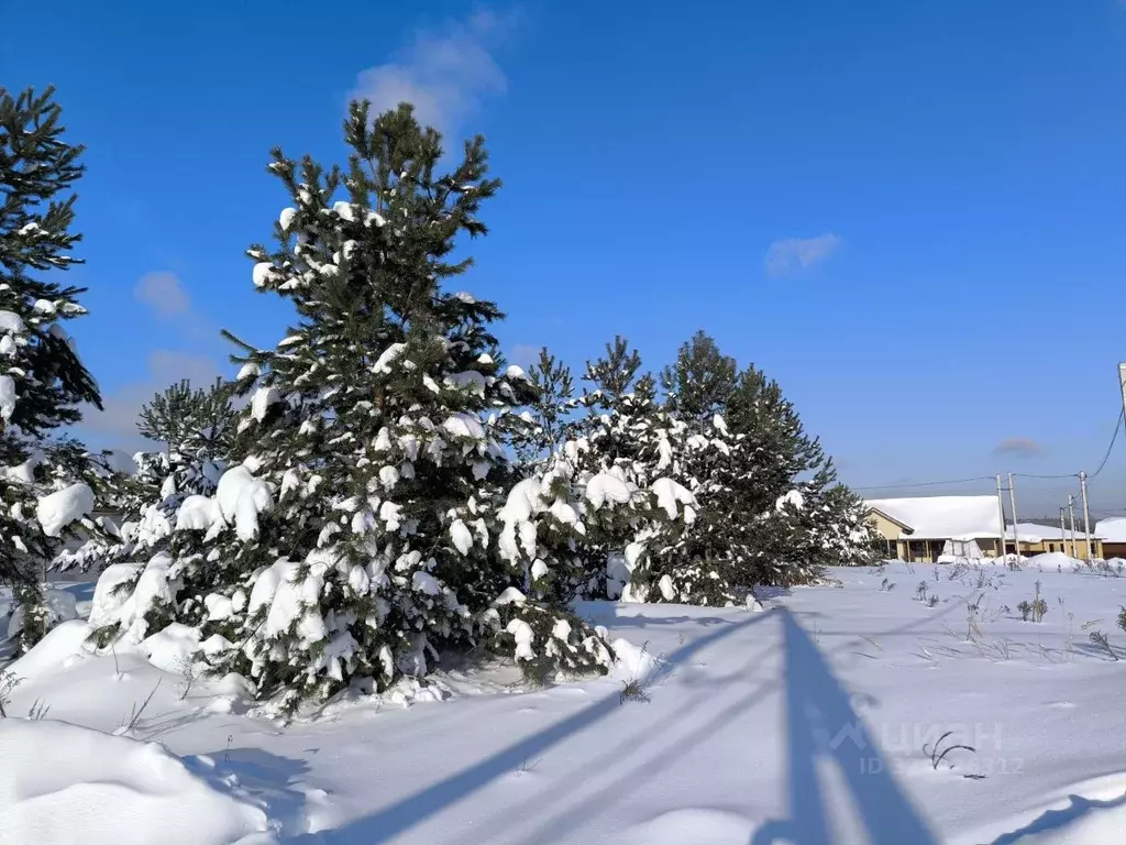Участок в Московская область, Раменский муниципальный округ, д. Минино ... - Фото 1