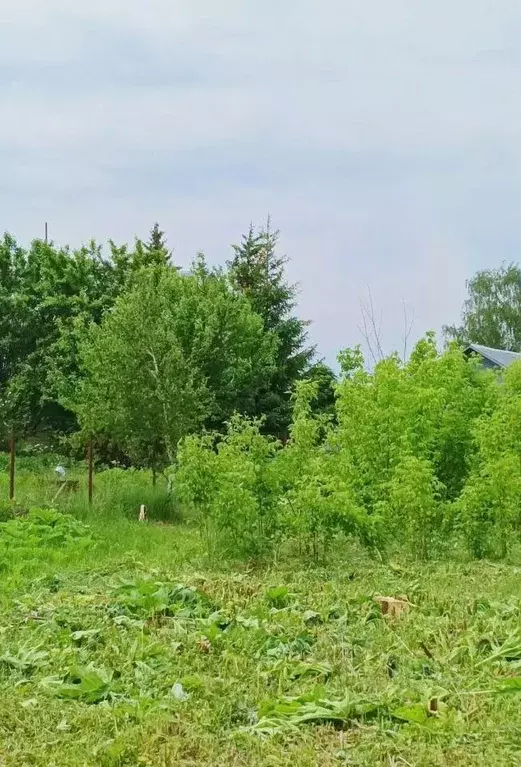 Участок, 18 сот., 0 - Фото 0